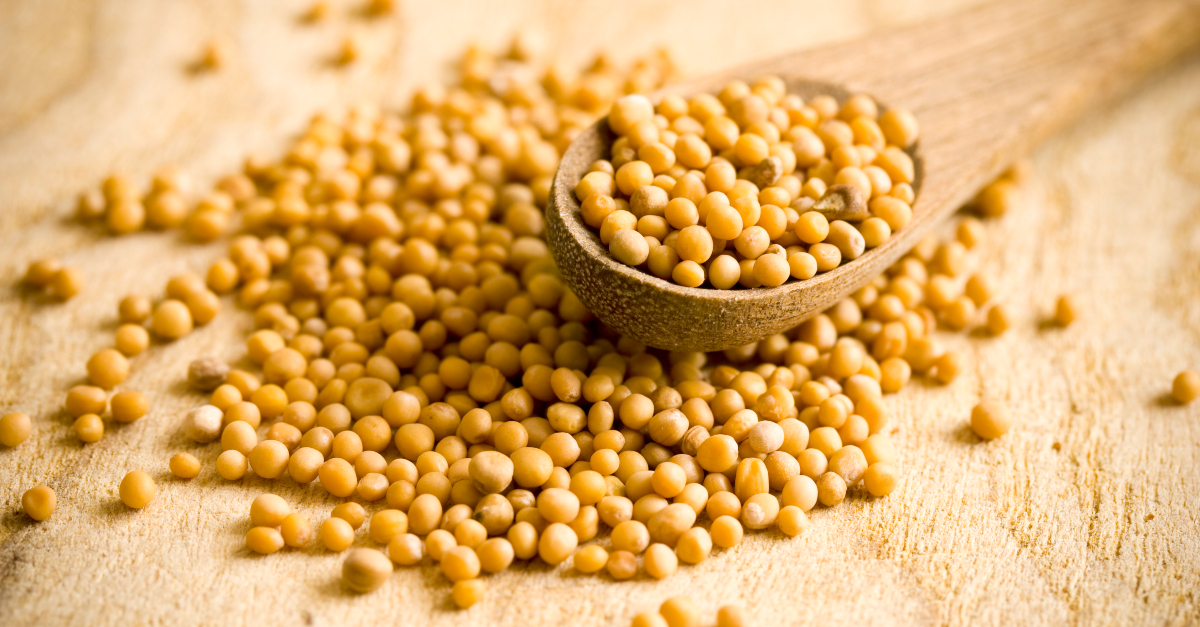 Mustard Seed | Just a Thought by Rich LeBrun