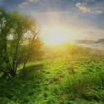 Walk In Spirit